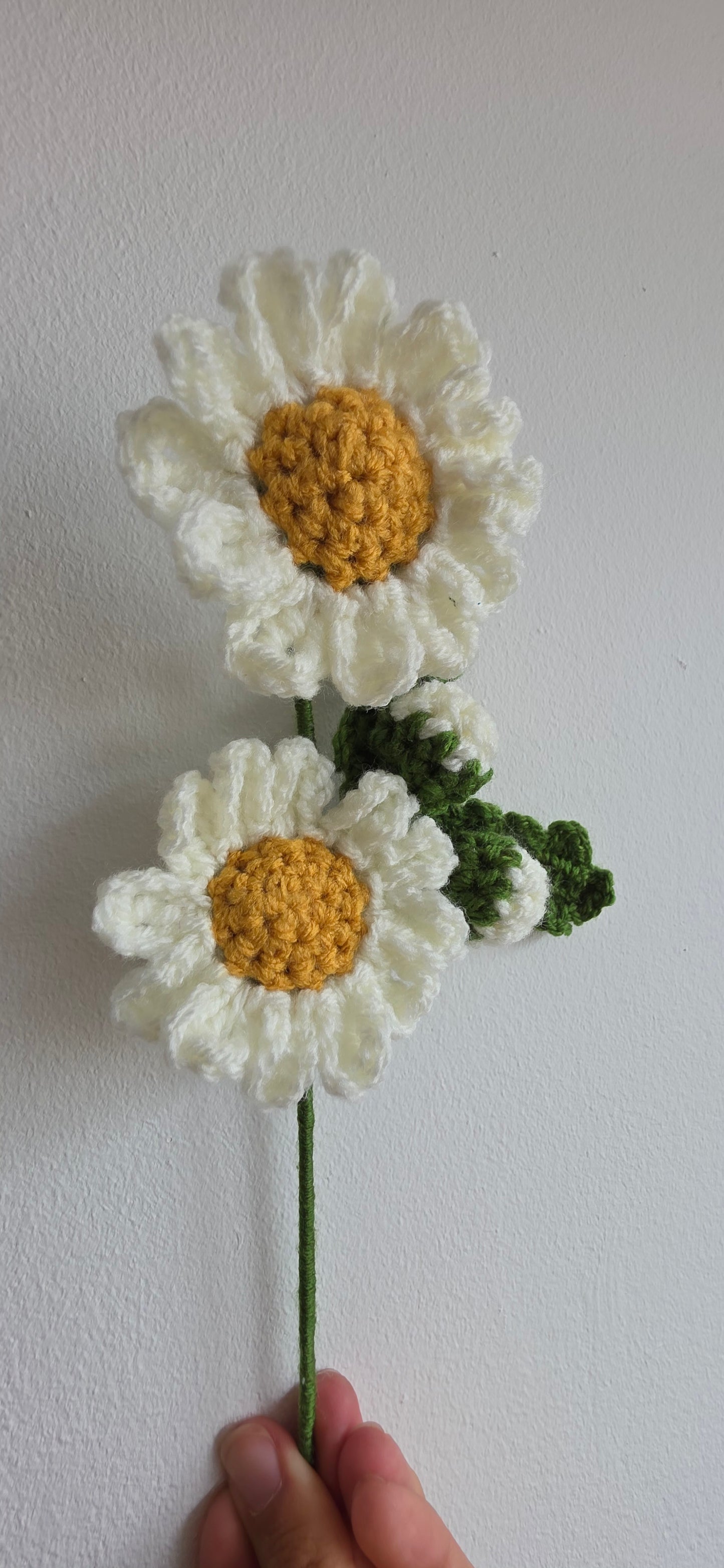 Handmade Crochet Daisy – Forever Flower