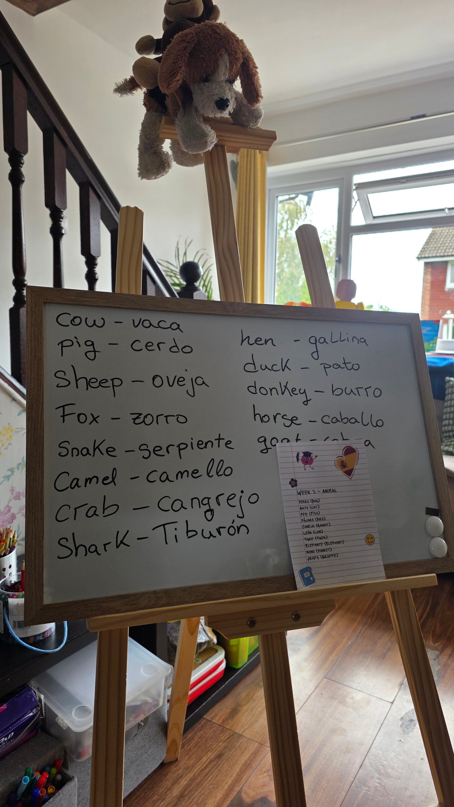 In-Person Group Spanish Classes for Kids (Ages 6-13)