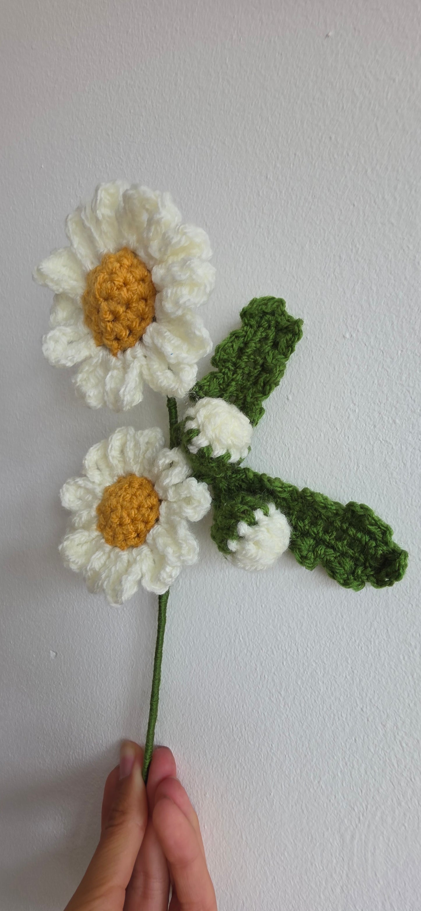 Handmade Crochet Daisy – Forever Flower