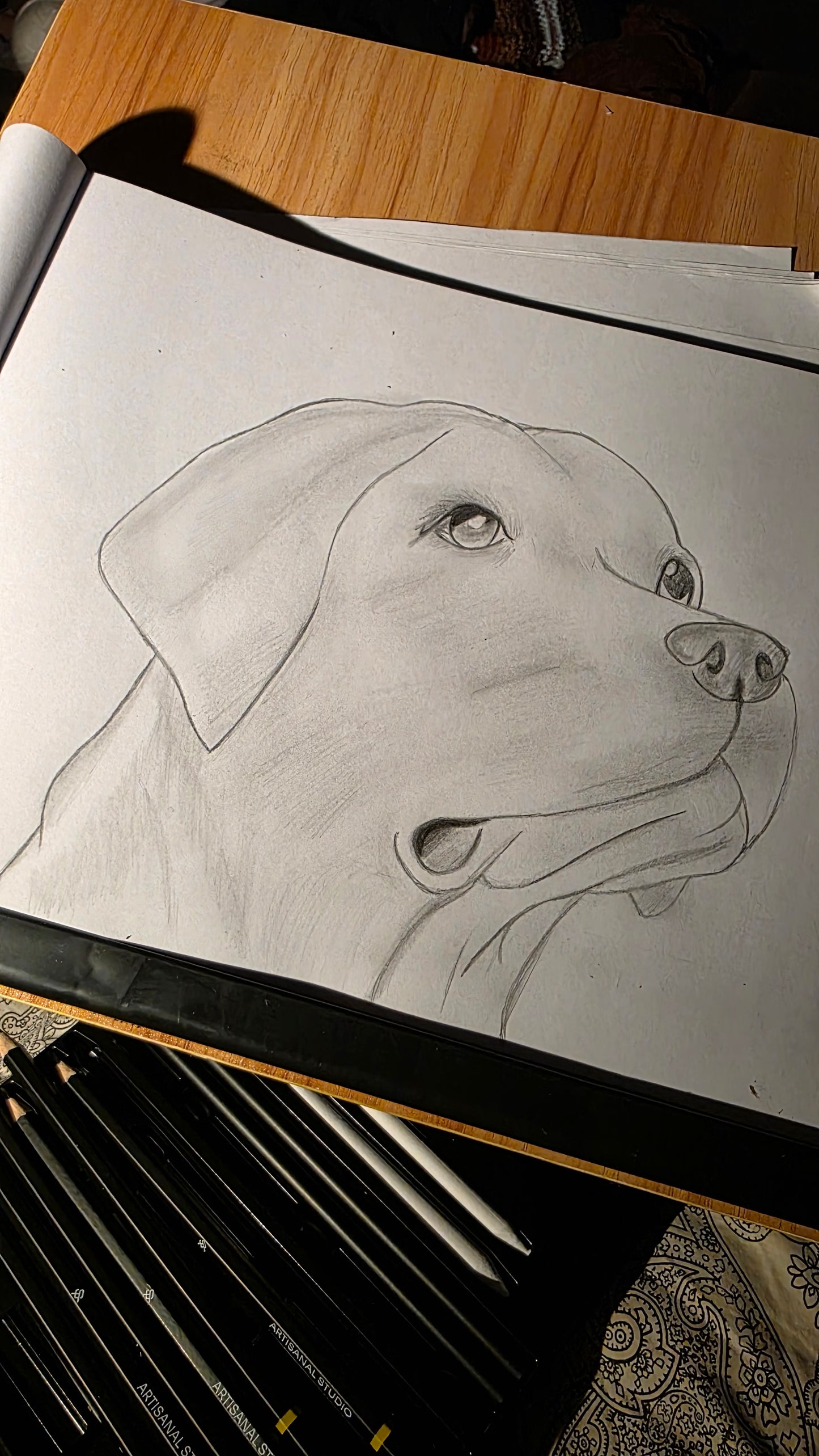 Online Drawing Class for Kids (8-13 years) – Zoom, 90-Minute Sessions