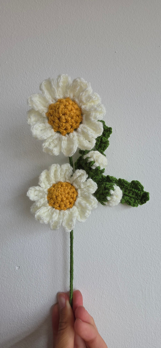 Handmade Crochet Daisy – Forever Flower