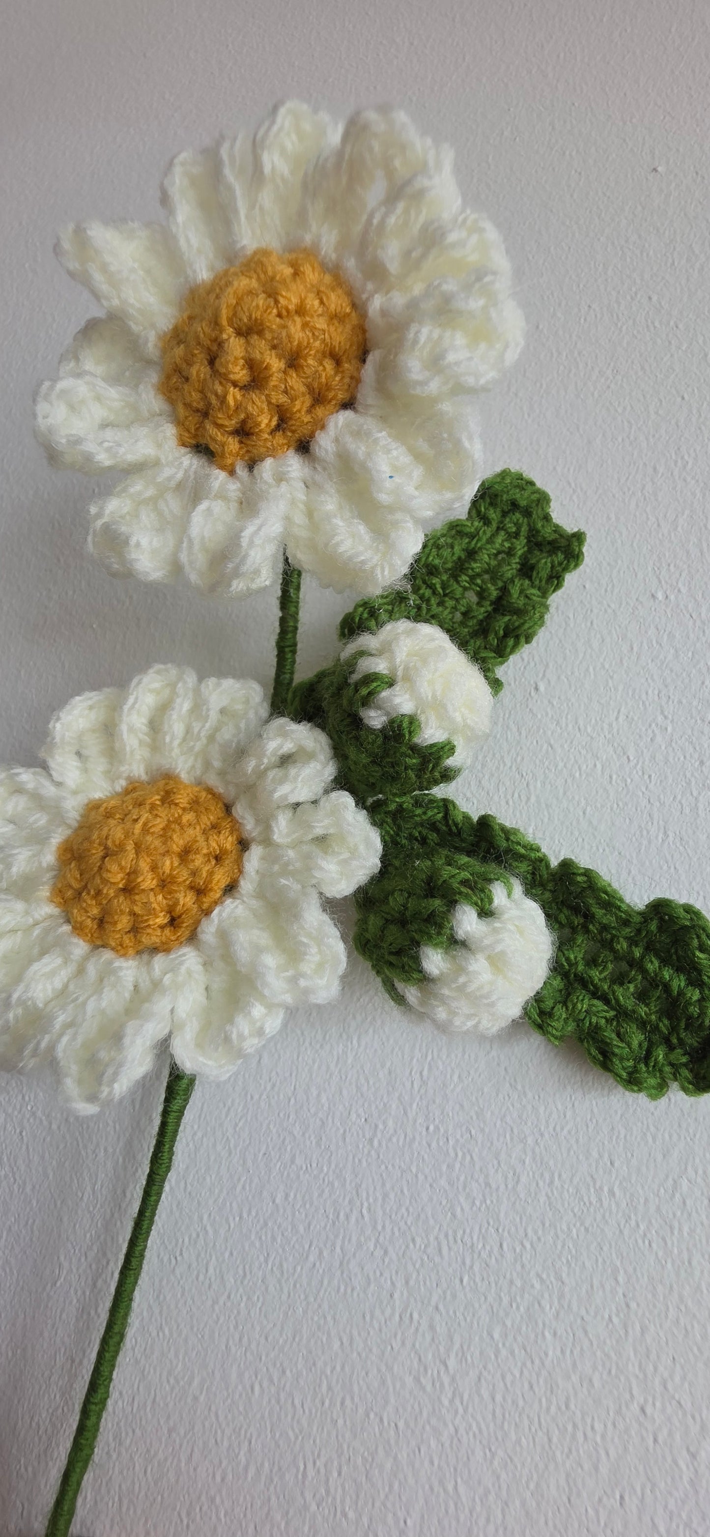 Handmade Crochet Daisy – Forever Flower